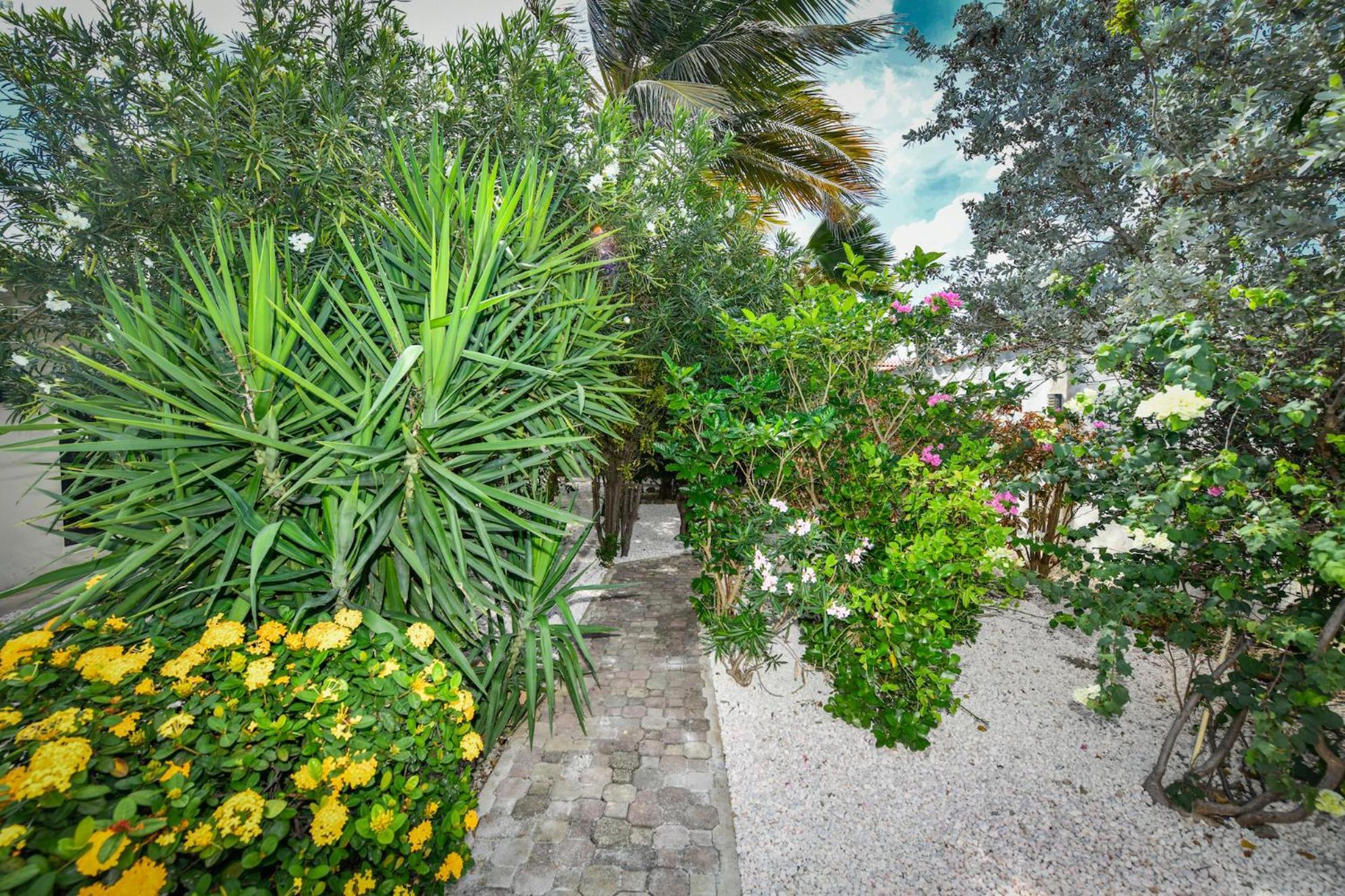 Aloe B&B Ораньестад Экстерьер фото